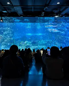 씨라이프 코엑스 아쿠아리움 1인 입장권